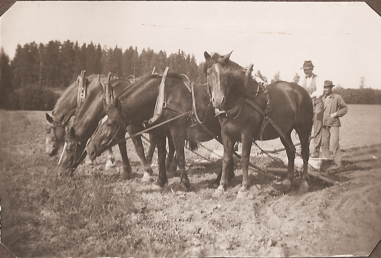 Rolf & Sigrid 1: 14-02