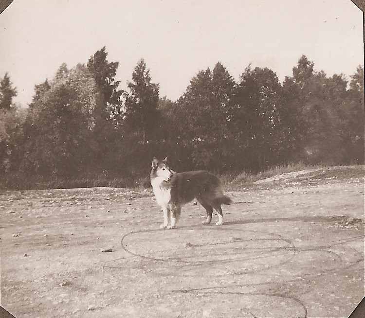 Rolf & Sigrid 1: 15-01