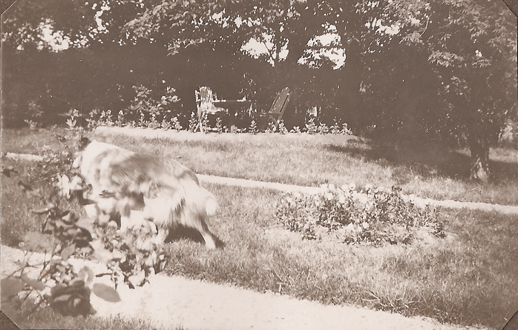 Rolf & Sigrid 1: 15-04