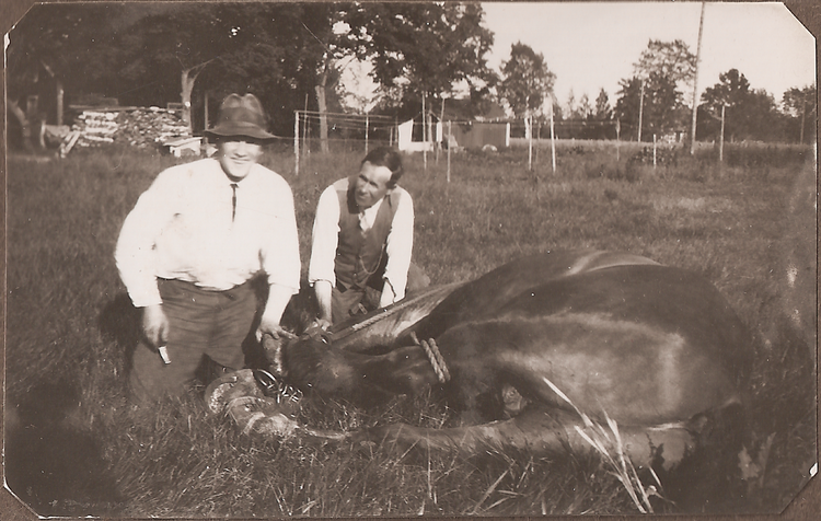 Rolf & Sigrid 1: 23-02