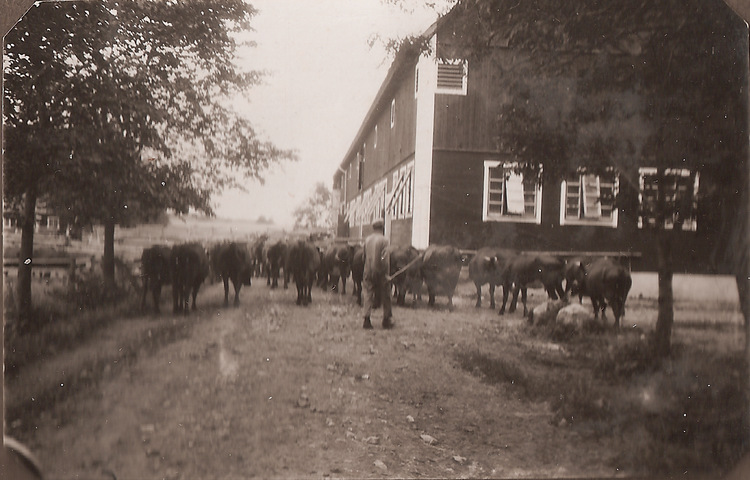 Rolf & Sigrid 1: 23-04