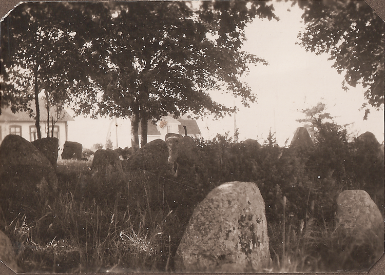 Rolf & Sigrid 1: 25-04