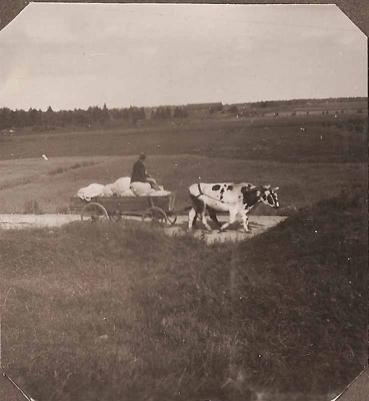 Rolf & Sigrid 1: 25-05