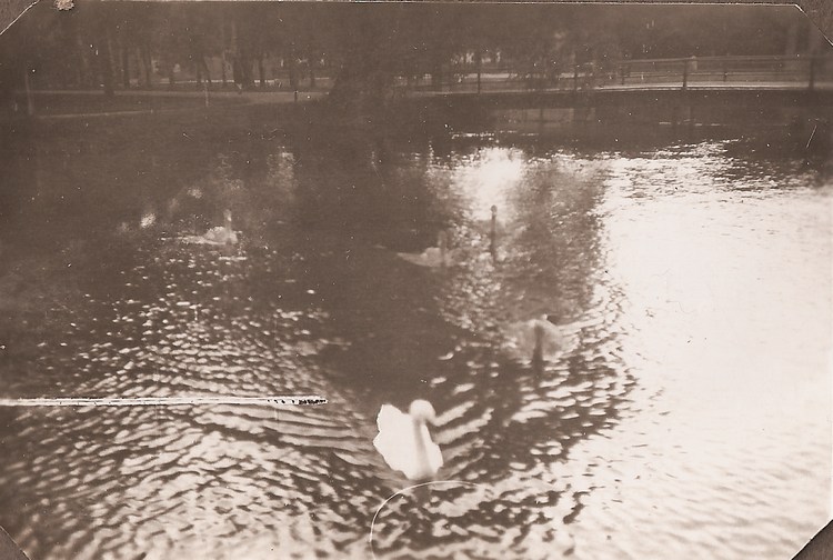 Rolf & Sigrid 1: 29-03