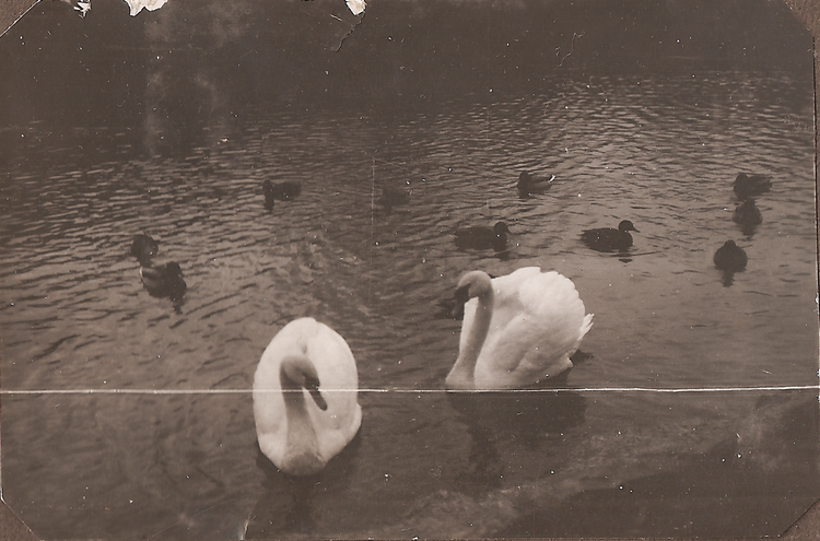 Rolf & Sigrid 1: 31-04