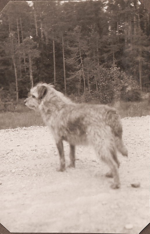 Rolf & Sigrid 1: 37-03