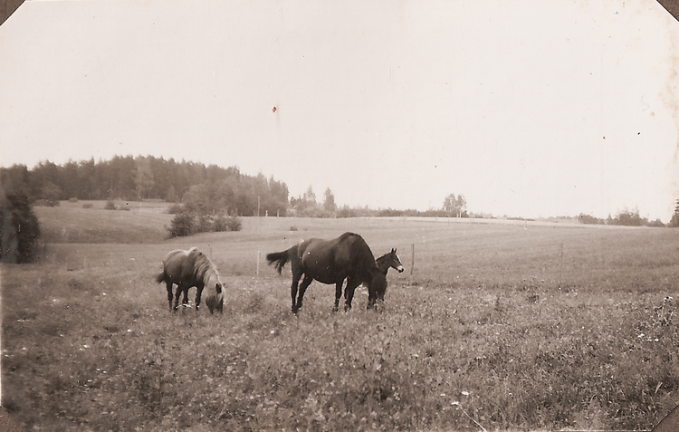 Rolf & Sigrid 1: 40-01