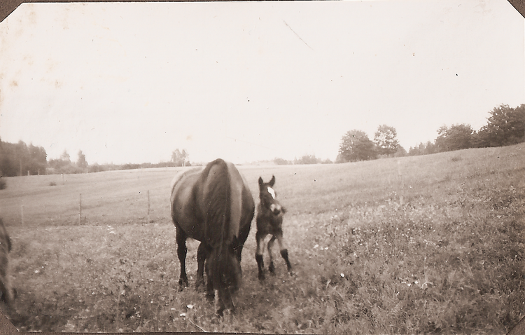 Rolf & Sigrid 1: 40-02