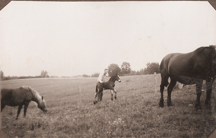 Rolf & Sigrid 1: 40-03