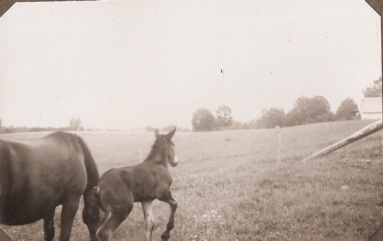 Rolf & Sigrid 1: 40-04