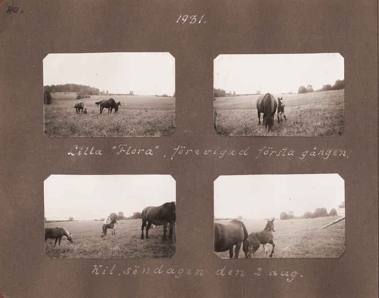Rolf & Sigrid 1: 40