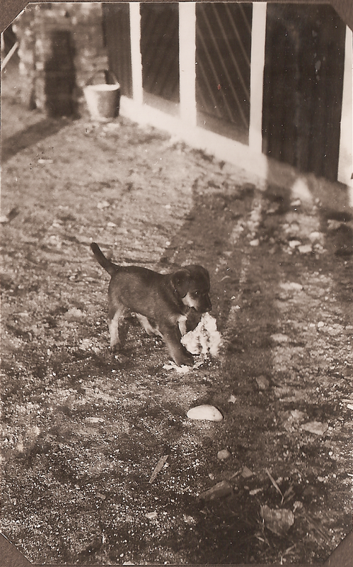 Rolf & Sigrid 1: 42-01