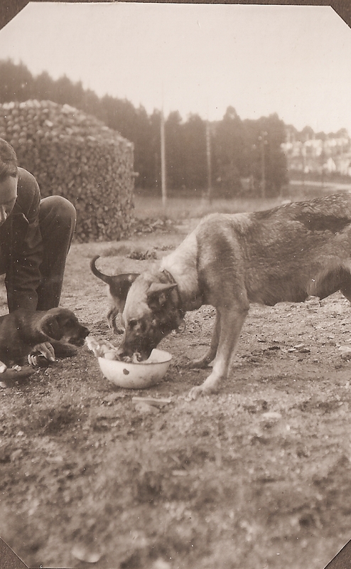 Rolf & Sigrid 1: 42-02