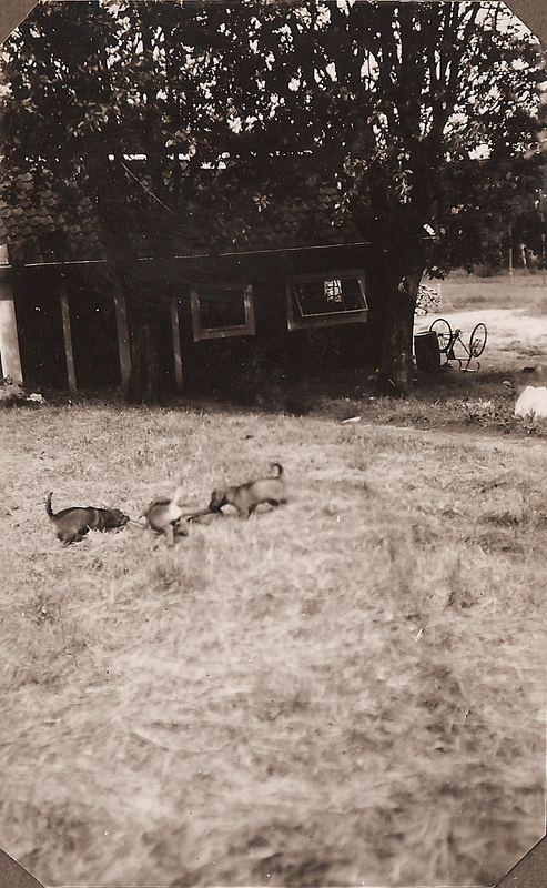 Rolf & Sigrid 1: 42-03