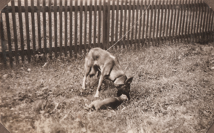 Rolf & Sigrid 1: 42-04